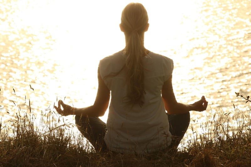 Mindfulness Workshop